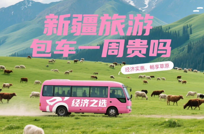 新疆旅游一周，如果包 车会不会贵啊？